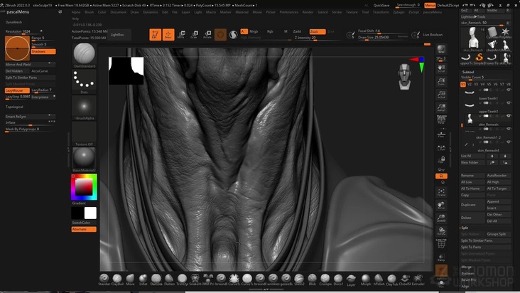 High-Resolution Skin Sculpt in ZBrush