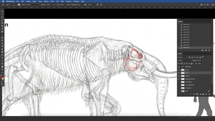 Prehistoric Species: Mastodon — Musculature