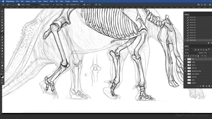Imaginary Concept: The Oliphant — Drawing The Skeleton Part 2