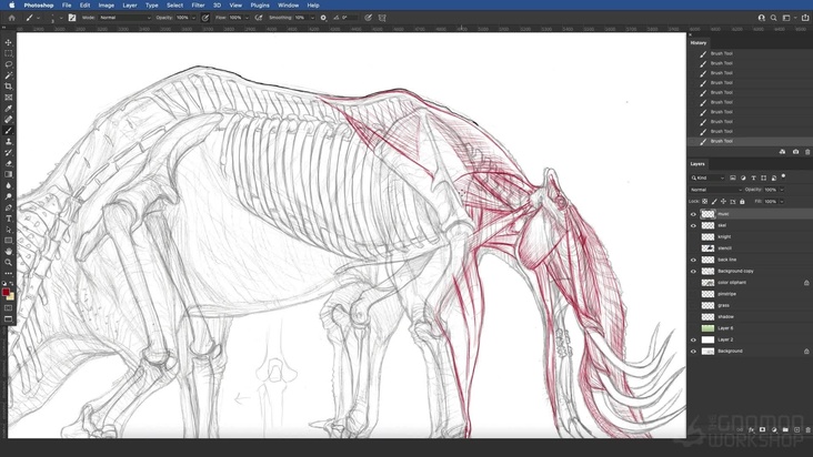 Imaginary Concept: The Oliphant — Musculature Part 1