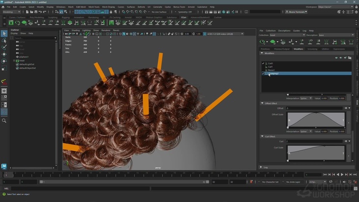 Introduction to Maya XGen