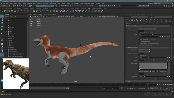 Tail Curves & Effects