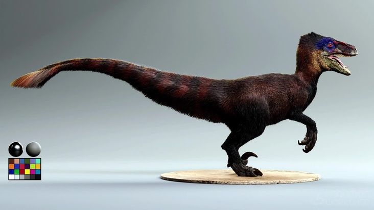 Creating Textures & Shaders