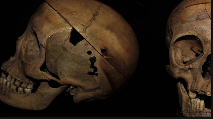 Reference Gathering & Skull Anatomy Basics