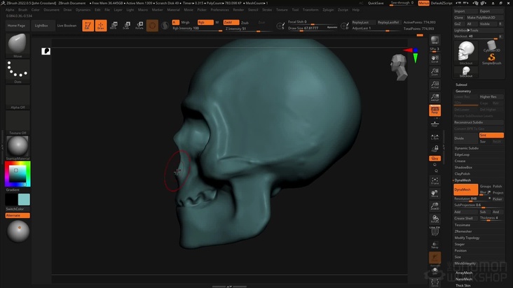 Initial Skull Blockout & DynaMesh Workflow