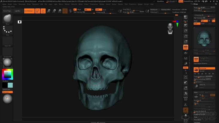 Using Boolean to Create SubTools & Boney Forms