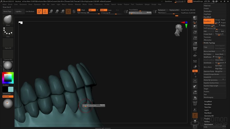 Creating Teeth for the Skull