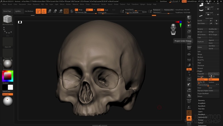 Setup ZRemesher on DynaMesh SubTools