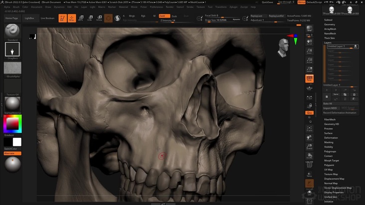 Finalizing the Skull Sculpt