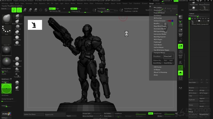Posing the Miniature