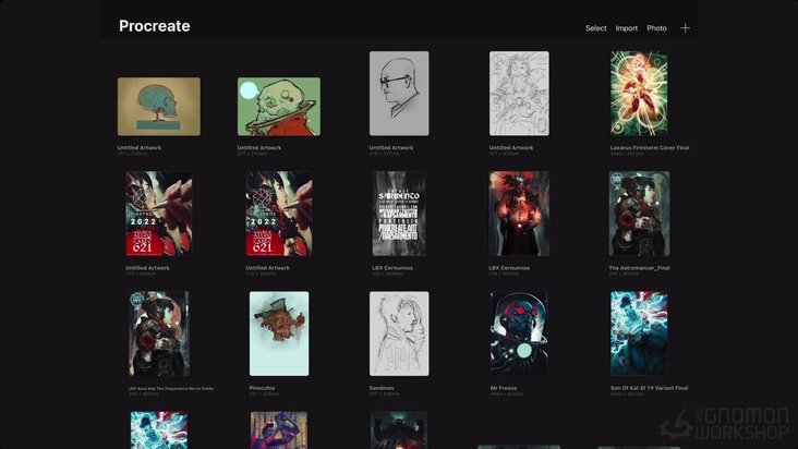 Introduction to Using Procreate