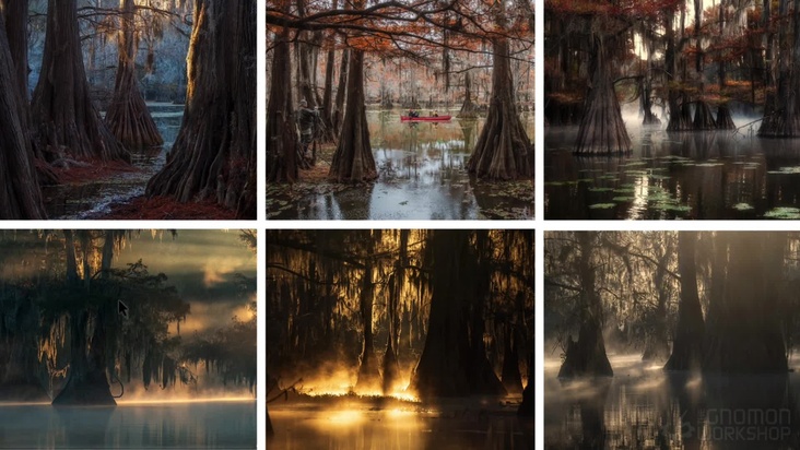 References & Inspiration