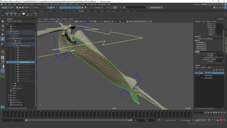 Arm Setup 1: Muscle Simulation Part 1