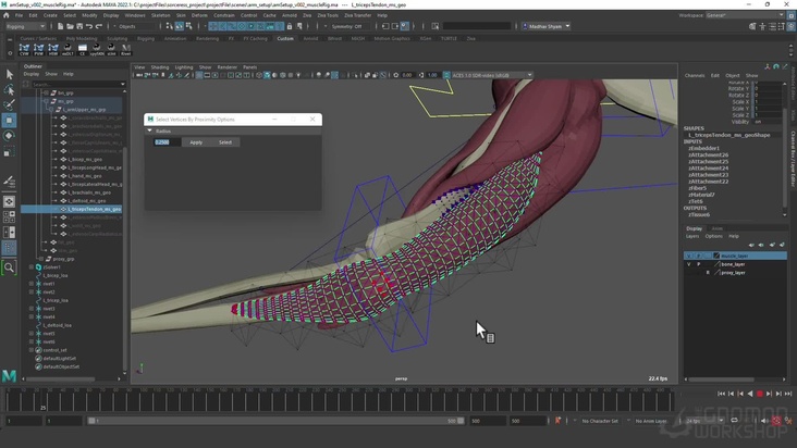 Arm Setup 1: Muscle Simulation Part 2
