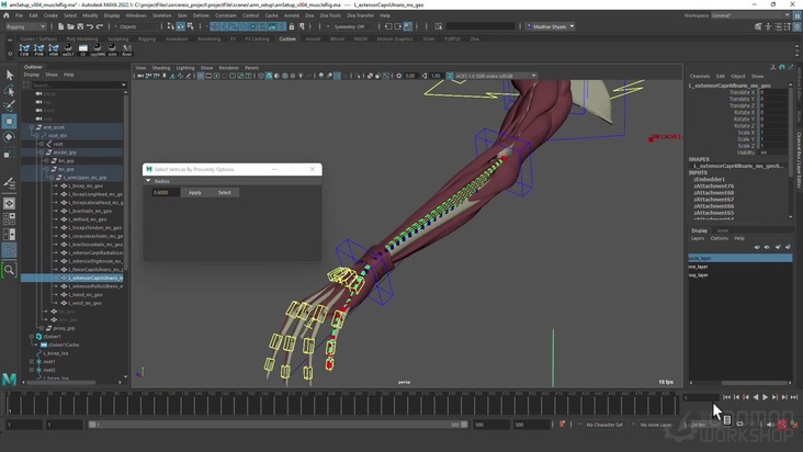 Arm Setup 1: Muscle Simulation Part 4