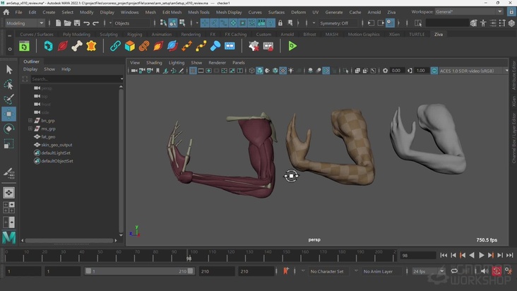 Arm Setup 2: Fat Simulation