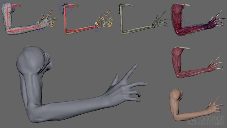 Arm Setup 3: Final Review