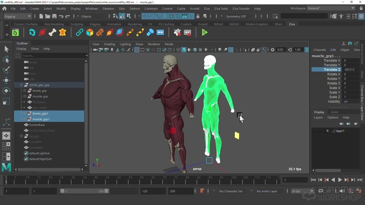 Anatomy Transfer 1: Asset Wrap