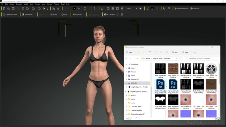 Materials, Blueprints & Lights
