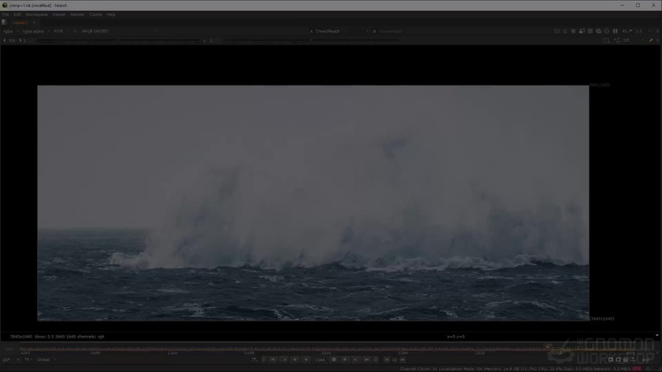Conclusion & Feedback