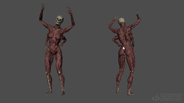 Mirror Setup & Animation