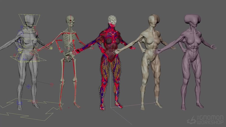 Sorceress Final Review