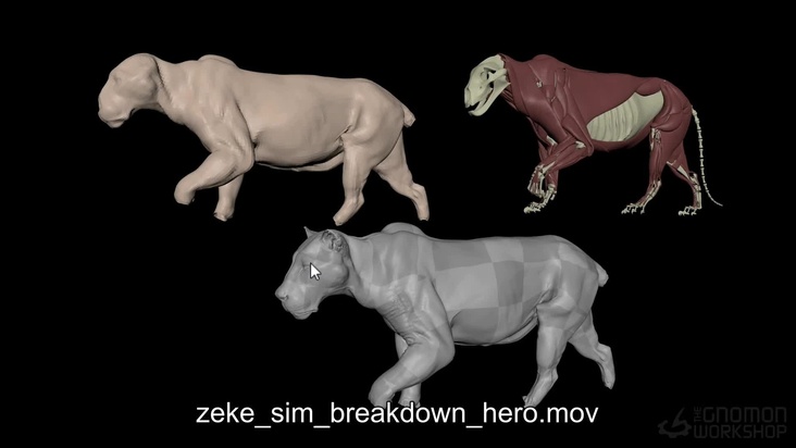 Coupled Simulation & Alternative Fat Setup: Part 2