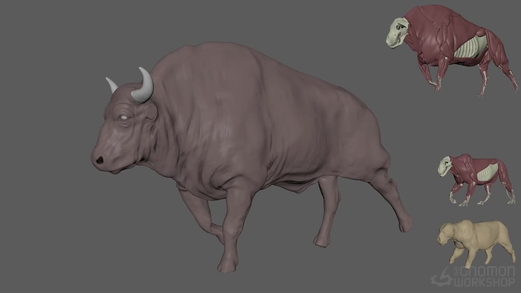 Anatomy Wrap: Part 1