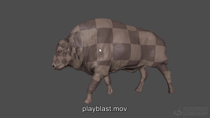 Anatomy Wrap: Part 2