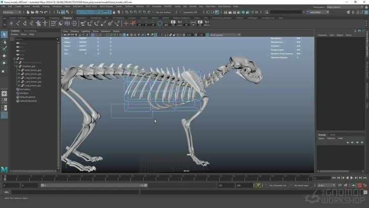 Skeleton Simple Rig Lineups