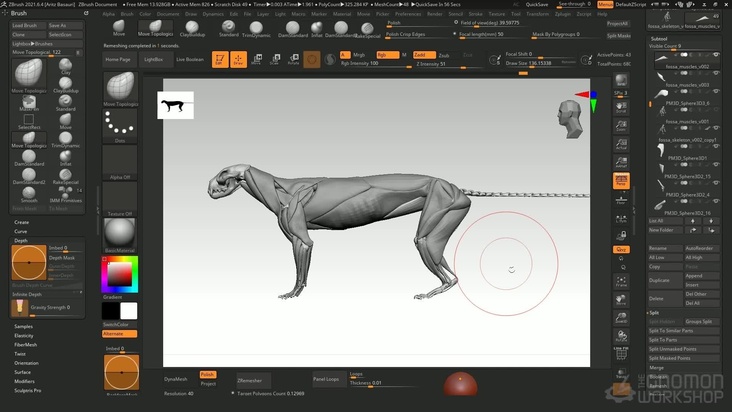 Muscle Sculpting — Part 2