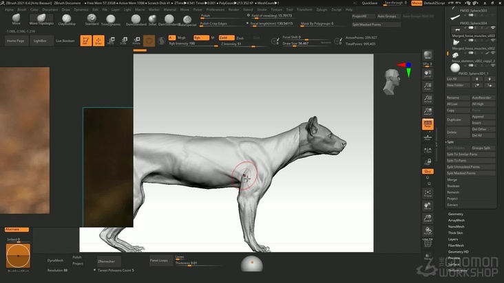 Skin Sculpting — Part 1