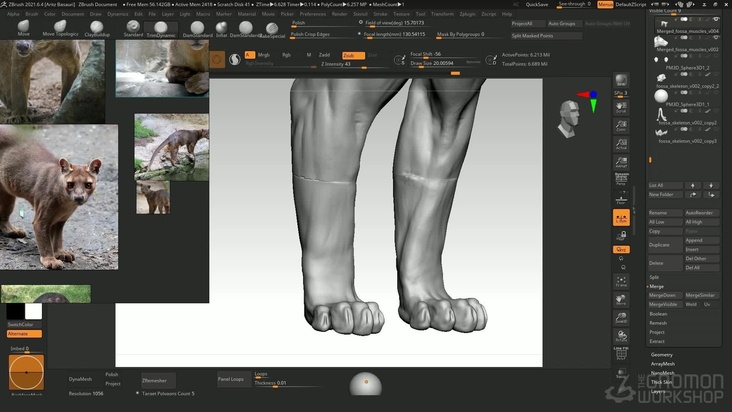 Skin Sculpting — Part 2