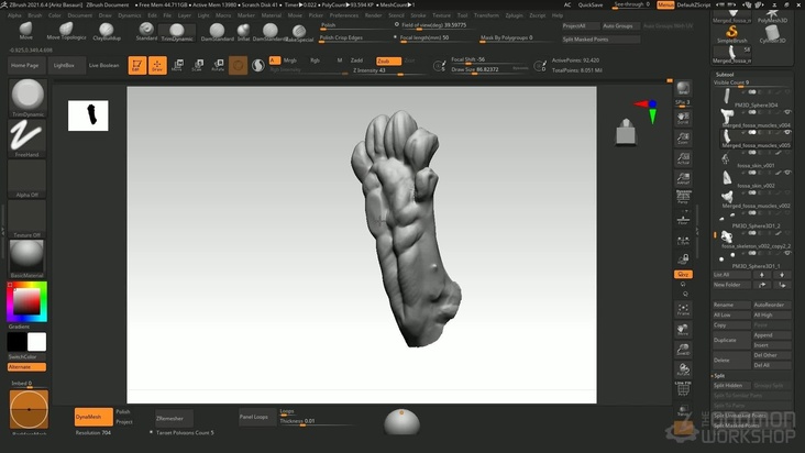 Skin Sculpting — Part 3