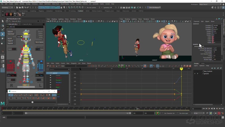 Adding the Camera Move & Gag