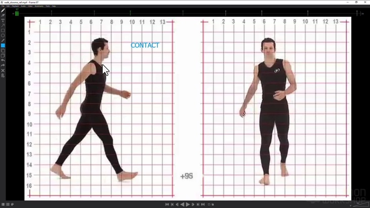 Walk Cycle: Planning
