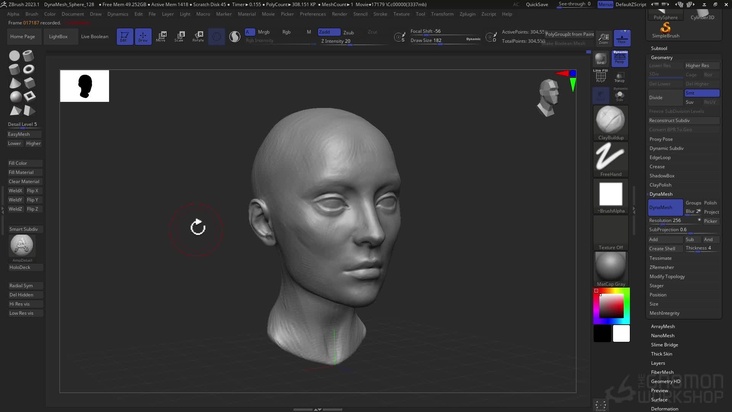 Starting the Head Sculpt