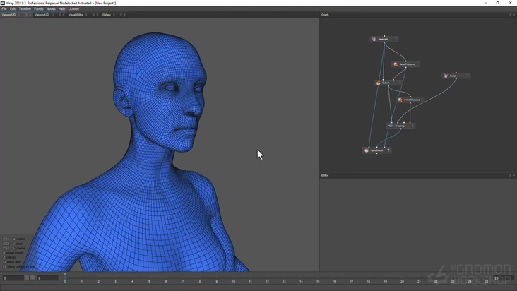 Reprojecting the Head