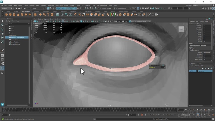 Creating a Meniscus Using ZBrush & Maya