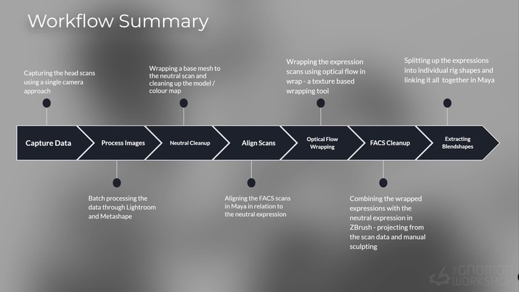 FACS & Photogrammetry Theory 
