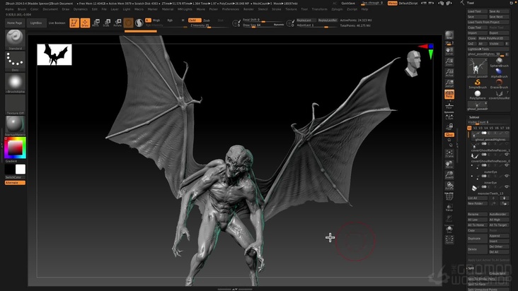 Creating Wings & Membranes