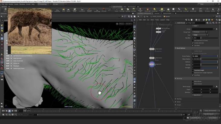 Groom Scene Creation: Part 2