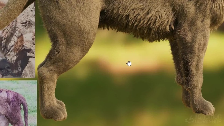 Body Groom Detail: Part 2