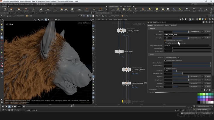 Mane Groom Detail: Part 1