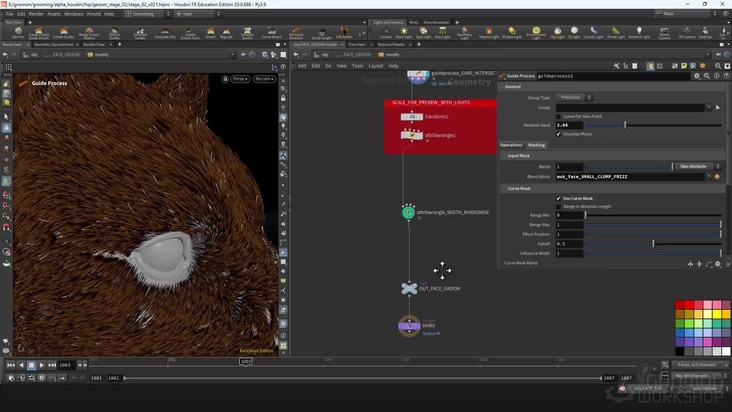 Face Groom Detail: Part 1