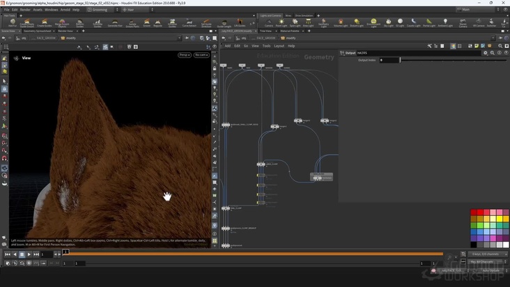 Face Groom Detail: Part 2