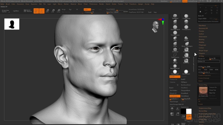 Head Sculpting: Part 2