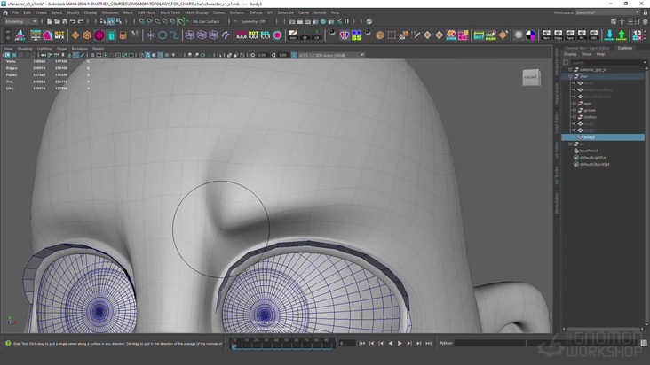 Main Facial Approaches