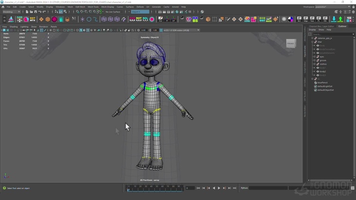 Main Body Approaches