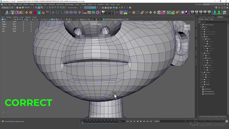 Modeling Tips for Topology Workflow
